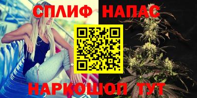 spice Моздок