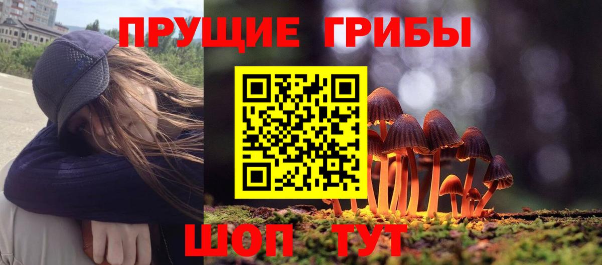 Галлюциногенные грибы Cubensis  Псилоцибиновые грибы Magic Shrooms  Вход с VPN  Пугачёв 