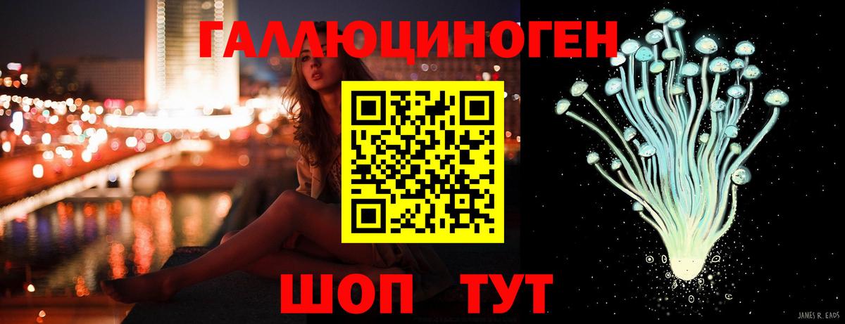 Галлюциногенные грибы Cubensis Пугачёв